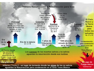FIRST RESURRECTION CHART SPANISH.jpg